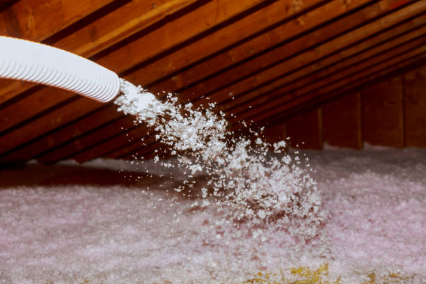 Best Insulation Installation Services in Laguna Park, TX