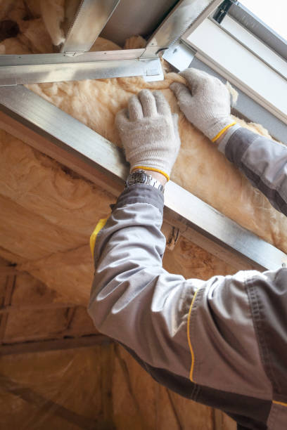 Best Residential Insulation in Laguna Park, TX