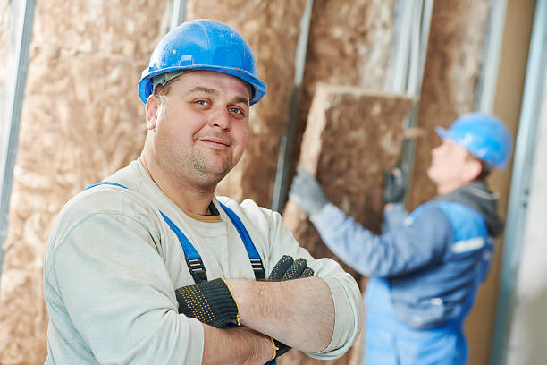 Best Types of Insulation in Laguna Park, TX